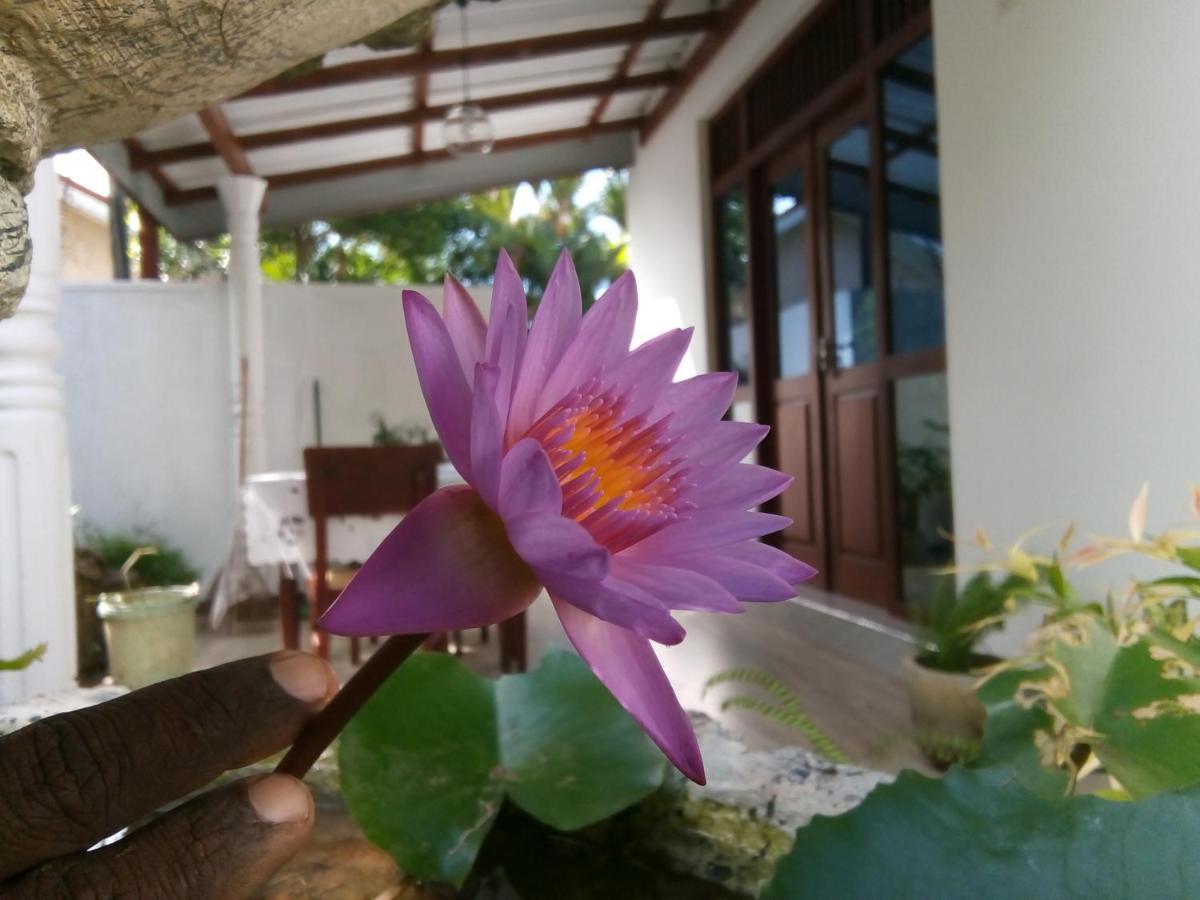 Sisila Villa Bentota Exterior photo